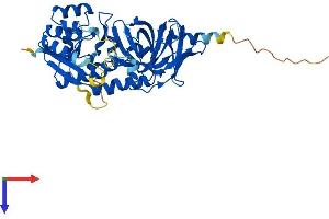 AlphaFold protein structure predicition of Mouse Recombinant Trmu Protein, UniprotID Q9DAT5