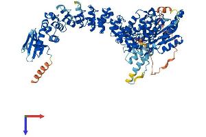 AlphaFold protein structure predicition of Human Recombinant PLA2G6 Protein, UniprotID O60733