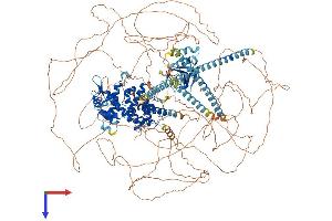 AlphaFold protein structure predicition of Mouse Recombinant Camsap1 Protein, UniprotID A2AHC3