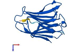AlphaFold protein structure predicition of Mouse Recombinant Lgals7 Protein, UniprotID O54974
