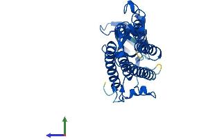 AlphaFold protein structure predicition of Human Recombinant TECR Protein, UniprotID Q9NZ01
