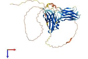 AlphaFold protein structure predicition of Mouse Recombinant Syt13 Protein, UniprotID Q9EQT6