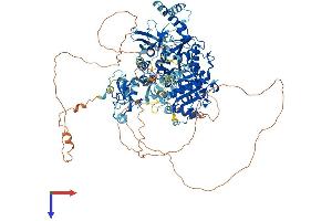 AlphaFold protein structure predicition of Human Recombinant UPF1 Protein, UniprotID Q92900