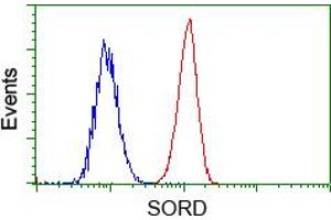 HEK293T cells transfected with either pCMV6-ENTRY SORD (RC200415) (Red) or empty vector control plasmid (Blue) were immunostained with anti-SORD mouse monoclonal (ABIN2453674), and then analyzed by flow cytometry. (SORD anticorps)