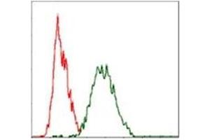 Flow Cytometry (FACS) image for anti-V-Raf-1 Murine Leukemia Viral Oncogene Homolog 1 (RAF1) antibody (ABIN1108823)