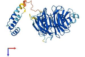 AlphaFold protein structure predicition of Human Recombinant CSTF1 Protein, UniprotID Q05048