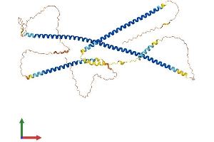 AlphaFold protein structure predicition of Mouse Recombinant Iffo1 Protein, UniprotID Q8BXL9