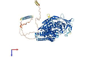 AlphaFold protein structure predicition of Mouse Recombinant Tfrc Protein, UniprotID Q62351