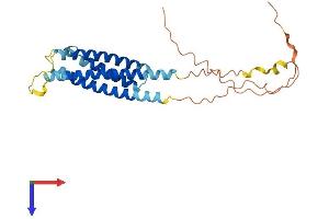 AlphaFold protein structure predicition of Mouse Recombinant Ms4a10 Protein, UniprotID Q99N03