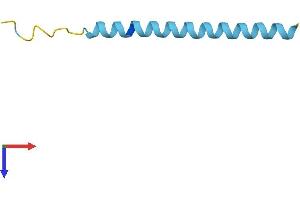 AlphaFold protein structure predicition of Human Recombinant COL5A1-AS1 Protein, UniprotID Q5SY13