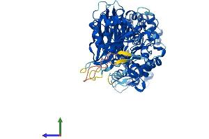 AlphaFold protein structure predicition of Human Recombinant PLCZ1 Protein, UniprotID Q86YW0
