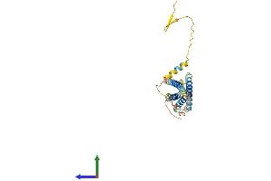 AlphaFold protein structure predicition of Human Recombinant TMEM176B Protein, UniprotID Q3YBM2