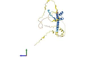 AlphaFold protein structure predicition of Human Recombinant TLX3 Protein, UniprotID O43711