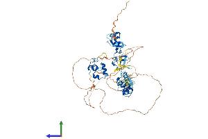 AlphaFold protein structure predicition of Mouse Recombinant Ablim2 Protein, UniprotID Q8BL65