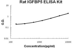 Rat IGFBP5 PicoKine ELISA Kit standard curve (IGFBP5 Kit ELISA)
