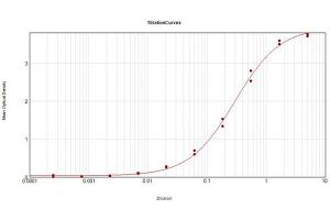 ELISA Results of Rabbit Anti-Hexokinase Antibody tested against purified Hexokinase.