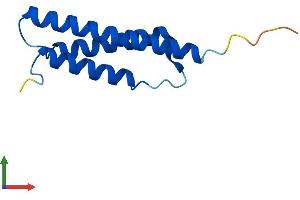 AlphaFold protein structure predicition of Mouse Recombinant Ahsp Protein, UniprotID Q9CY02