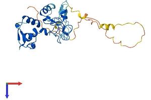 AlphaFold protein structure predicition of Mouse Recombinant Arl14ep Protein, UniprotID Q8BIX3