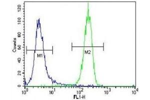 LKB1 antibody flow cytometric analysis of NCI-H460 cells (right histogram) compared to a negative control (left histogram).