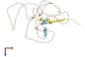 AlphaFold protein structure predicition of Mouse Recombinant Sp9 Protein, UniprotID Q64HY3