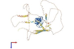 AlphaFold protein structure predicition of Human Recombinant PPIG Protein, UniprotID Q13427