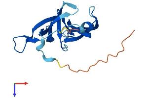 AlphaFold protein structure predicition of Human Recombinant FAM72C Protein, UniprotID H0Y354