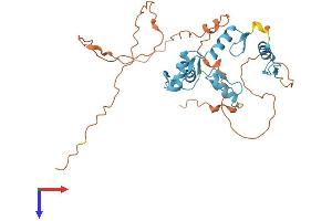 AlphaFold protein structure predicition of Mouse Recombinant Scrt2 Protein, UniprotID Q8BTH6