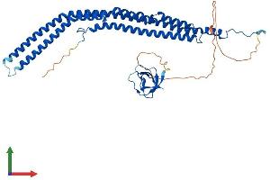 AlphaFold protein structure predicition of Mouse Recombinant Pacsin1 Protein, UniprotID Q61644