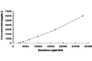 Typical standard curve