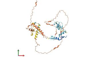 AlphaFold protein structure predicition of Human Recombinant ZNF589 Protein, UniprotID Q86UQ0