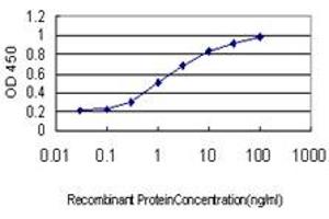Detection limit for recombinant GST tagged MYNN is approximately 0.