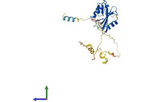 AlphaFold protein structure predicition of Mouse Recombinant Shf Protein, UniprotID Q8CG80