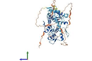 AlphaFold protein structure predicition of Human Recombinant ZSCAN22 Protein, UniprotID P10073