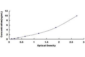 Typical standard curve (WNT2B Kit ELISA)