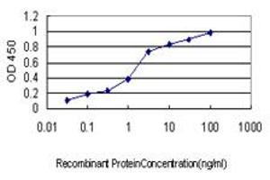 Detection limit for recombinant GST tagged USP9X is approximately 0. (USP9X anticorps  (AA 1-90))
