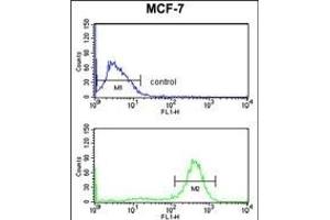 CHPF Antibody (Center) (ABIN652988 and ABIN2842628) flow cytometry analysis of MCF-7 cells (bottom histogram) compared to a negative control cell (top histogram).