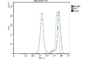 Flow Cytometry analysis of Jurkat cells using anti-GAS2 antibody (ABIN7603220).
