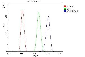 Flow Cytometry analysis of U20S cells using anti-R Cadherin/CDH4 antibody (ABIN6719392). (Cadherin 4 anticorps  (AA 458-641))