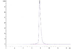 The purity of Human CD6 is greater than 95 % as determined by SEC-HPLC.