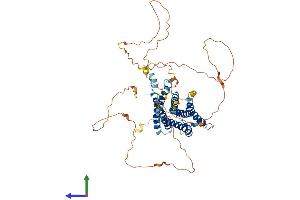 AlphaFold protein structure predicition of Human Recombinant ADGRA1 Protein, UniprotID Q86SQ6