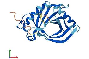 AlphaFold protein structure predicition of Human Recombinant HEBP1 Protein, UniprotID Q9NRV9