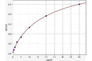 5-Methyltetrahydrofolate-Homocysteine Methyltransferase (MTR) ELISA Kit