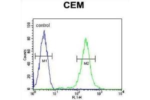 Flow Cytometry (FACS) image for anti-Complement Factor P (CFP) antibody (ABIN3004386) (CFP anticorps)