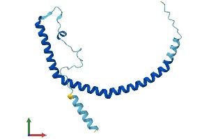 AlphaFold protein structure predicition of Mouse Recombinant Cav3 Protein, UniprotID P51637