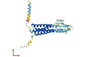 AlphaFold protein structure predicition of Human Recombinant CACNG6 Protein, UniprotID Q9BXT2