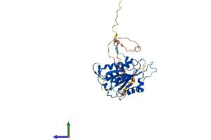 AlphaFold protein structure predicition of Mouse Recombinant Babam1 Protein, UniprotID Q3UI43