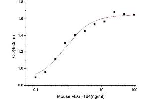 Activity Assay (AcA) image for Vascular Endothelial Growth Factor A (VEGFA) (AA 27-190) (Active) protein (His tag) (ABIN7607513)