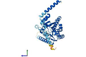 AlphaFold protein structure predicition of Human Recombinant RDH10 Protein, UniprotID Q8IZV5