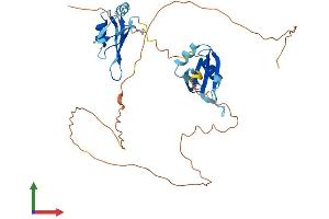 AlphaFold protein structure predicition of Mouse Recombinant Msi2 Protein, UniprotID Q920Q6