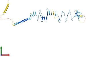 AlphaFold protein structure predicition of Mouse Recombinant Sgcz Protein, UniprotID Q8BX51